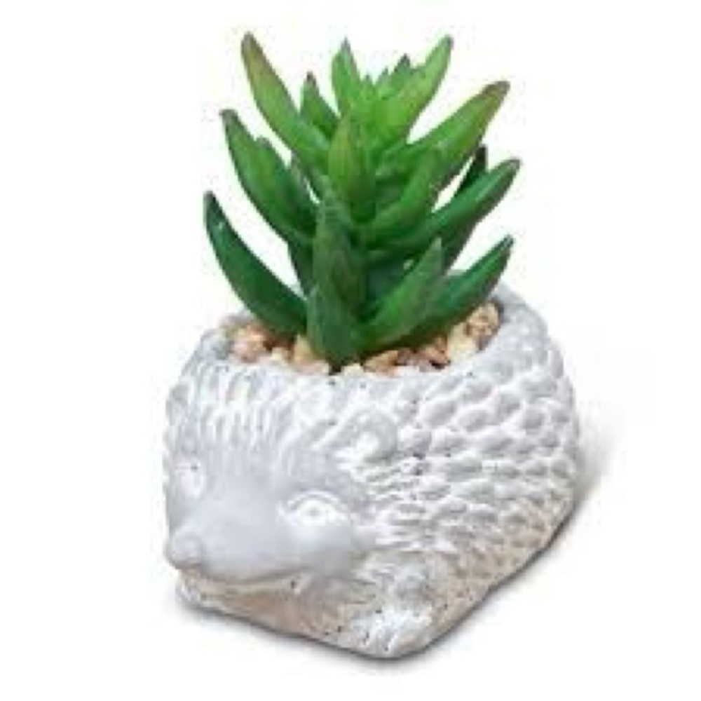 🦔 CONCRETE HEDGEHOG PLANTER 🦔